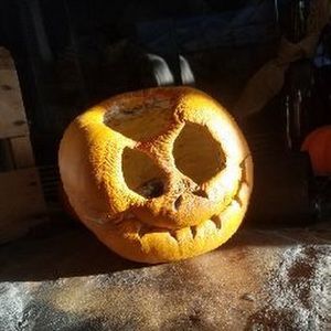 Meet your Posher, Ashleigh